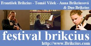 Festival Brikcius poster