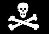 Jolly Roger - the Pirate Flag