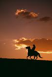 cowboy riding into the sunset