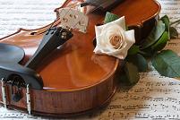 A Violin and A Rose