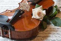 violin with flower