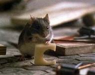 Alan Silvestri - Mousehunt picture 2