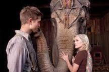 James Newton Howard - Water for Elephants picture 1
