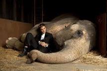 James Newton Howard - Water for Elephants picture 3