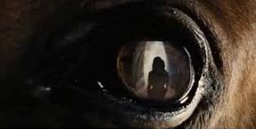 John Williams - War Horse picture 7