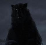 Patrick Doyle - Brave image 5