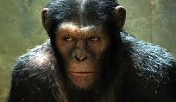Patrick Doyle - Rise of the Planet of the Apes picture 1