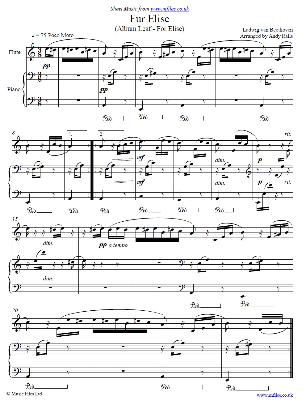 Beethoven's Fur Elise for flute and piano - sheet music 1st page